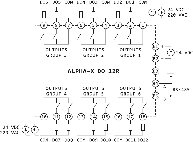 Connection diagram of Alpha-X DO 12R