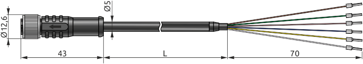 Dimensions of HTE.Cable-M12-6F-xxx connecting cable with connector, mm (for HTE.PF-xxxM transmitter)